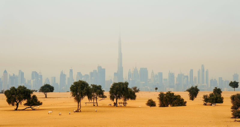 United_Arab_Emirates_Preview_e2fe7fe0-055d-4ef9-8bb3-40dc70377494 - CITYFRAMES
