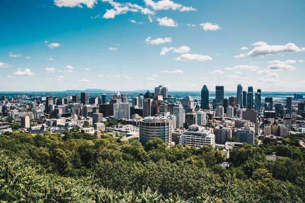 Montreal_City_Preview_8e02f71f-6e99-41d3-878e-e4a3b64989d2 - CITYFRAMES